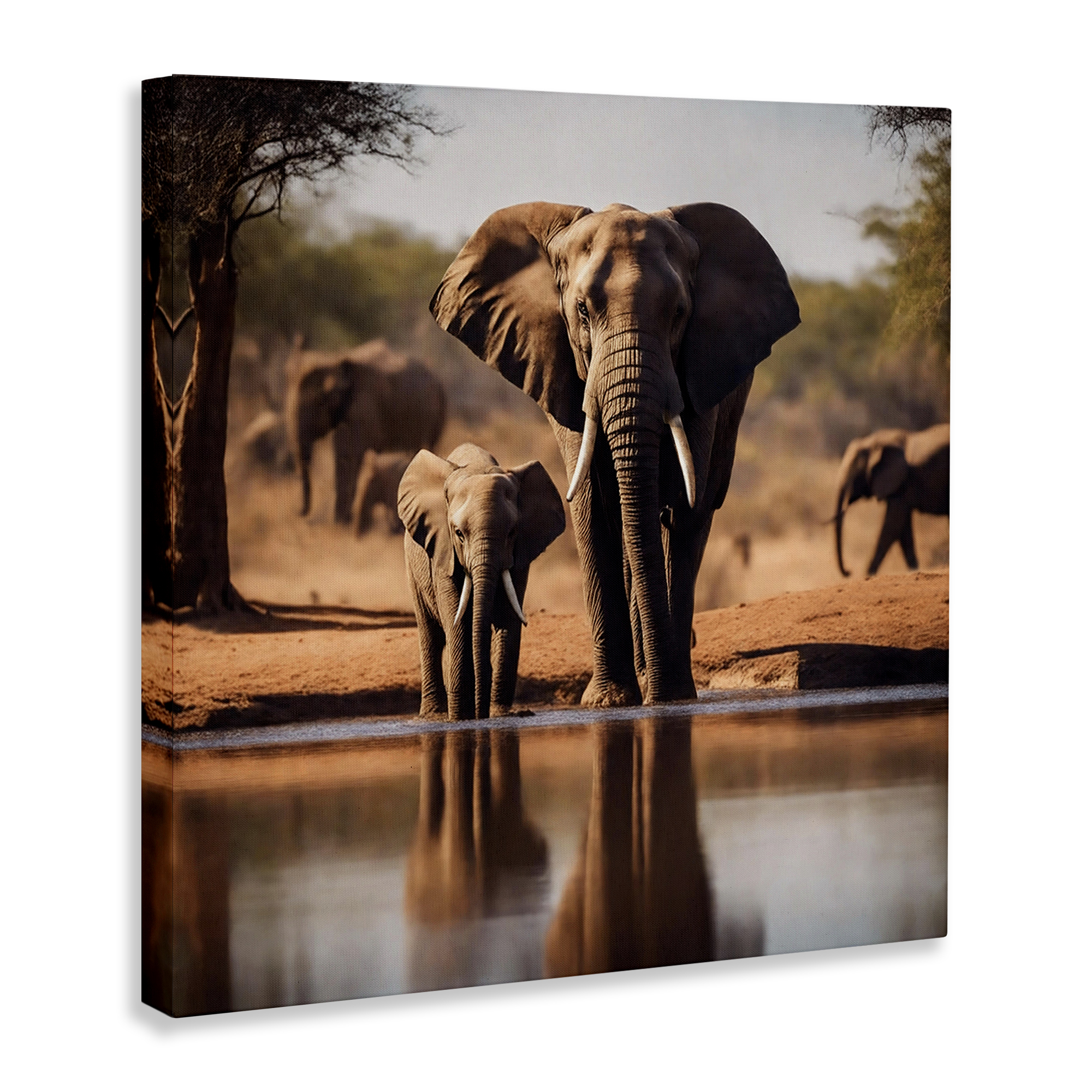 Stupell Industries Elephant & Calf at Waterhole Animals Photography Wrapped Canvas Art Print Wall Art, 17 x 17