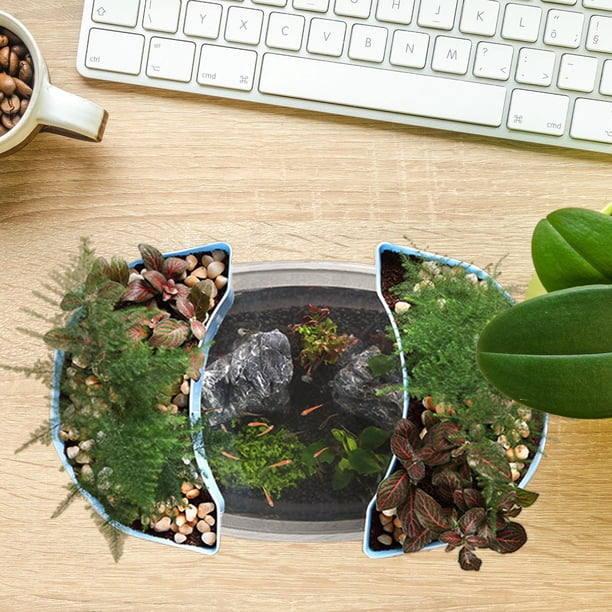 YSNOOWE Acuario Pequeño De Plástico Para Escritorio Con Sin Bordes Para Peces Betta Y