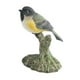 thumbnail image 5 of Figuras de pájaros en miniatura de PVC, animales de simulación, juguetes artísticos pintados a mano para casa de muñecas. Estilo D, 5 of 9