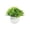 Green Home Decor # Two & Up Home, variant on Fake Plants Mini Artificial Greenery Potted Plants for Home Office Room Decor Purple