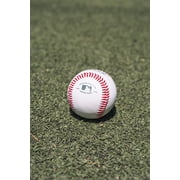 Rawlings | High School Baseball | 1 Count
