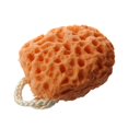 thumbnail image 3 of 2x naranja baño ducha Spa esponja de limpieza corporal exfoliante exfoliante, 3 of 3