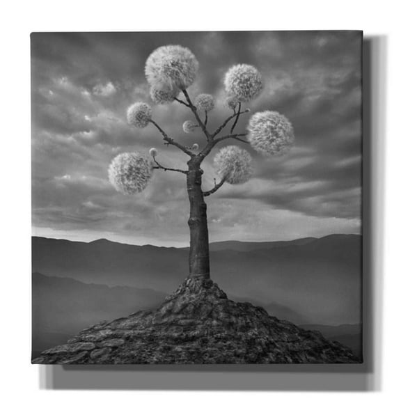 Epic Graffiti 'Dandelion' by Dariusz Klimczak, Canvas Wall Art, 26"x26"