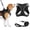 black, variant on Filbert Dog Harness and Leash Set,  3/4 inch X 4.6ft Strong and Durable Leash, Step-in Reflective Harness Small Sized Dogs, Mesh Vest, High Reflectivity, Breathable Fabric, Heavy Duty Velcro