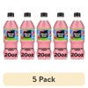 (5 pack) Minute Maid Watermelon Punch Juice Drink Bottle, 20 fl oz