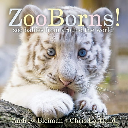 Zooborns Zoo Babies from Around the Worl (Board Book)