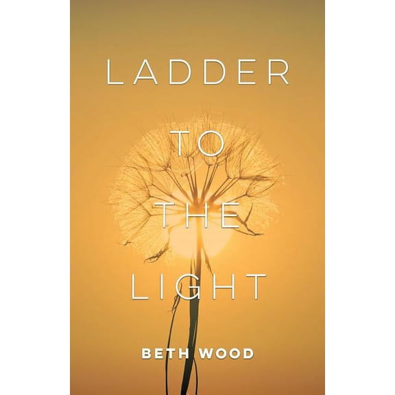 Ladder to the Light (Paperback)