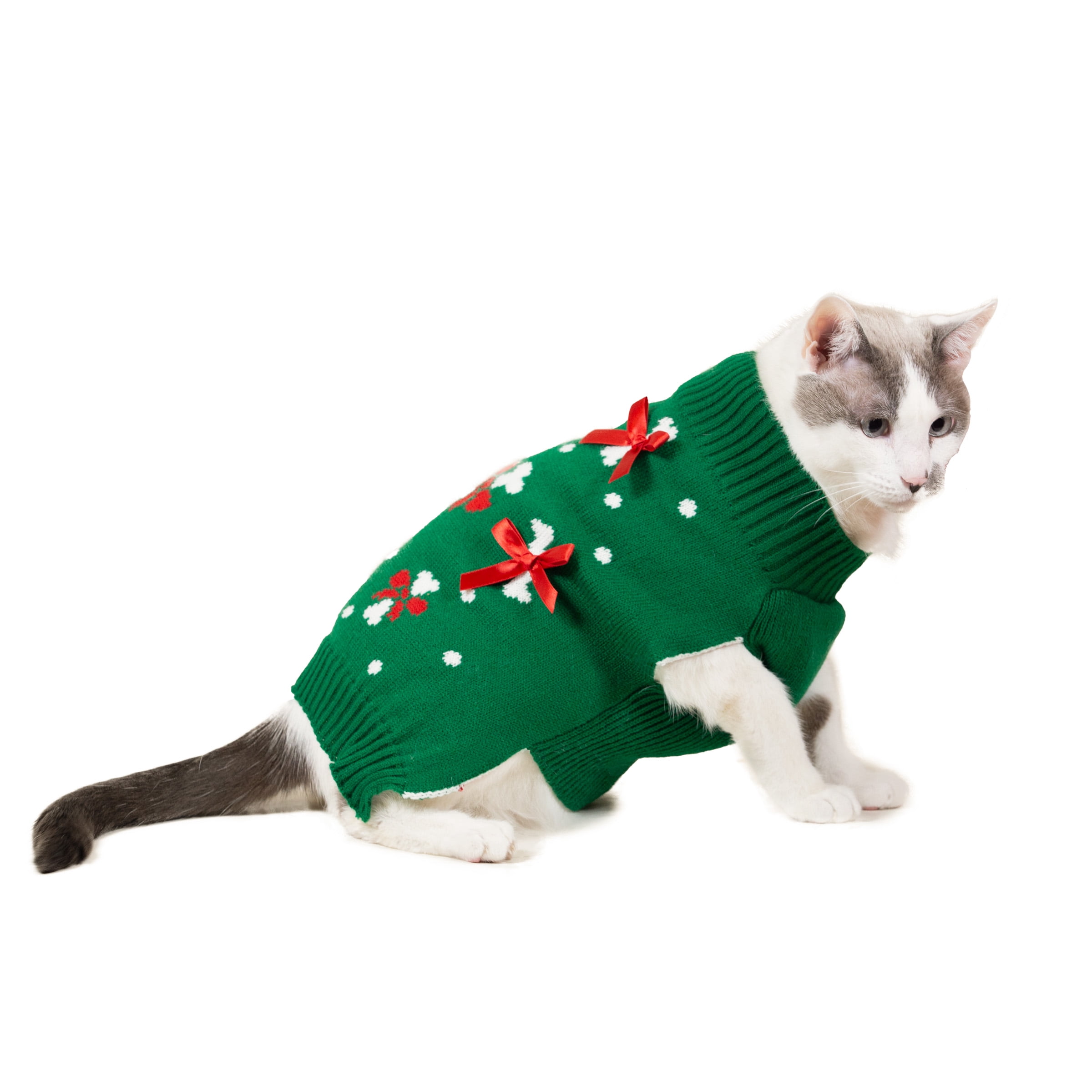 Vibrant Life, Holiday Dog Clothes, Bone Dog or Cat Sweater, Green, XXS