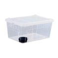 thumbnail image 2 of Caja de alimentación para reptiles, terrario transparente, jaula de hábitat, contenedor de incubación portátil para reptiles. Cuenco negro de 32 x 22 x 15 cm, 2 of 9