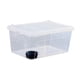 thumbnail image 2 of Caja de alimentación para reptiles, terrario transparente, hábitat, contenedor de incubación reutilizable, caja de cría para gecos, lagartos, , Cuenco negro de 32 x 22 x 15 cm, 2 of 8