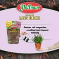 thumbnail image 5 of 14452 Volcanic Lava Rock, 2 Quarts, 5 of 5