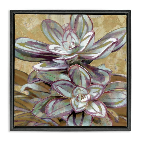 Stupell Industries Rustic Desert Succulents Plants & Flowers Painting Black Floater Framed Canvas Art Print Wall Art, 18 x 18