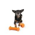thumbnail image 3 of One Paw, 2 pack Rubber Chew Dog Toy, Small, Treat Dispenser, 3 of 4