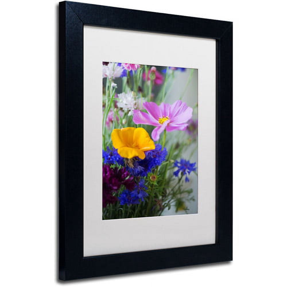 Trademark Fine Art "Cosmo Duo" Canvas Art by Philippe Sainte-Laudy, White Matte, Black Frame