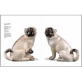 thumbnail image 4 of Courtly Companions : Pugs and Other Dogs in Porcelain and Faience (Hardcover), 4 of 9