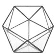 thumbnail image 2 of Landscape Decoration Windowsill Decor Tabletop Geometric Terrarium, Planter Container, For Moss Succulents Fern Plants, 2 of 8