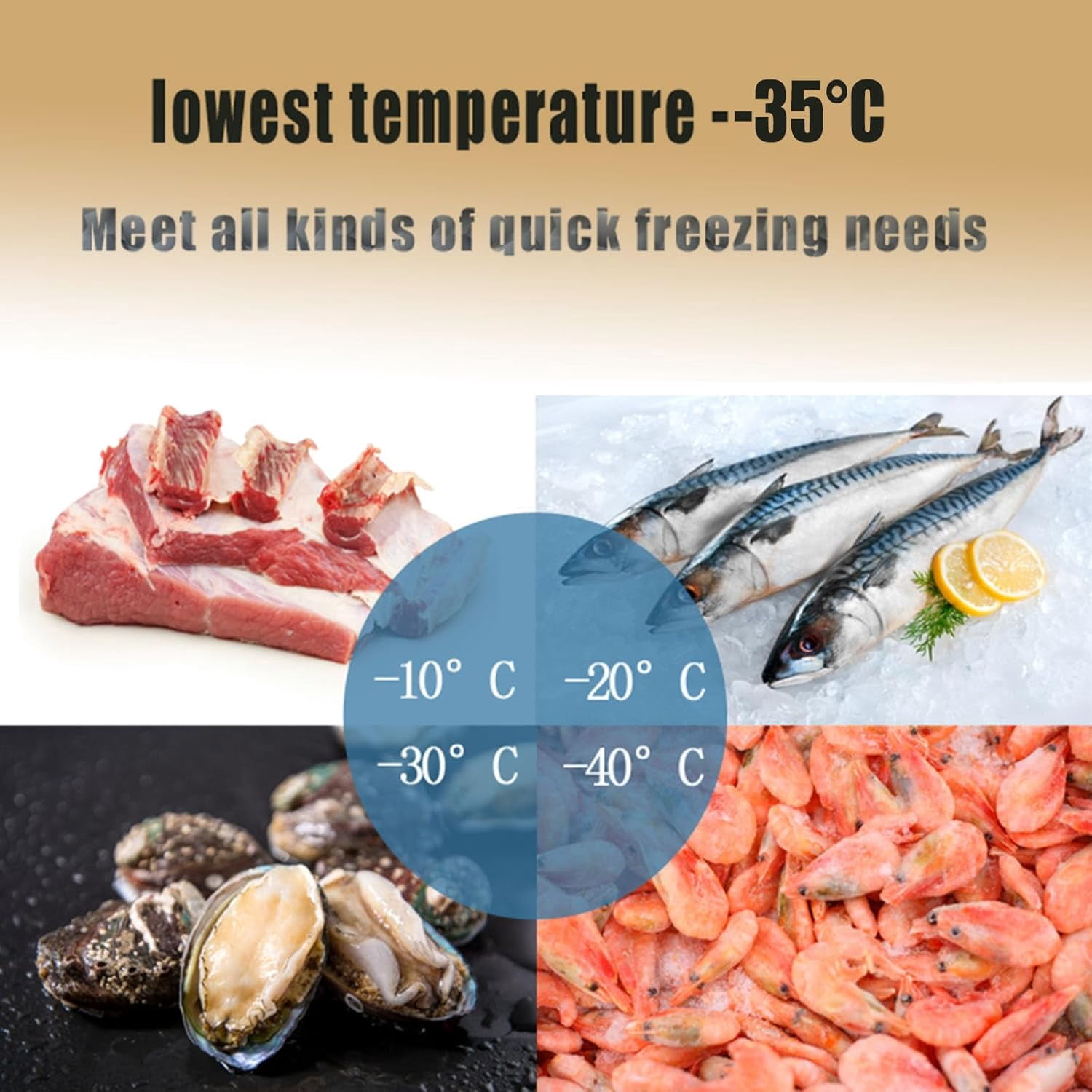 Blast Chiller Commercial Blast Freezer 150L 5 Trays, Blast Chiller Freezer, Gelato Ice Cream Freezer, Stainless Steel Blast Chiller for Baking, Dumplings, Meat, Seafood, Fish, Bread