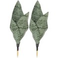 thumbnail image 1 of Houderco 2Ud Sansevieria Artificial Para Decorar Y Dormitorio Con Material Duradero, 1 of 6