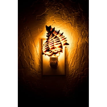 NessaStores- Black Murex Sea Shell Nightlight Kitchen Bathroom Beach Home Decor Craft( 1 Pc)