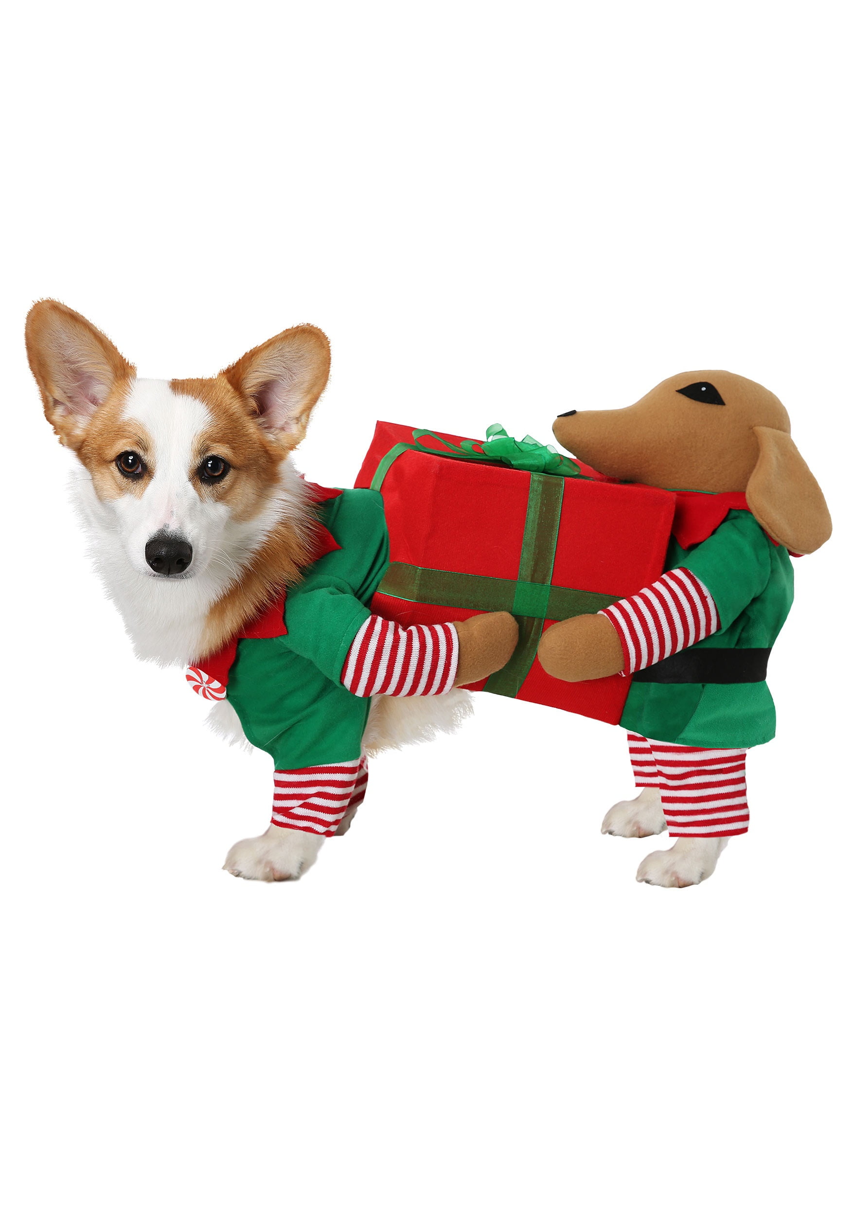 dog carrying present costume