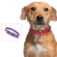 thumbnail image 4 of Collar de cuero para perros, collares ajustables para cachorros, collares para perros pequeños, collar multicolor para mascotas, 4 of 5