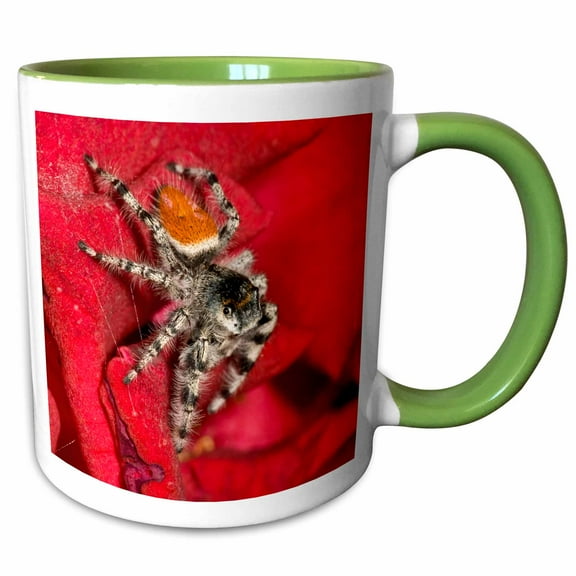 3drose, Jumping Spider, Southern California - Na02 Dno0595 - David Northcott, 11oz Two-tone Green Mug