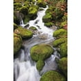 thumbnail image 2 of Posterazzi DPI1871950 Happy Valley Oregon United States of America - Green Moss on the Rocks Along A Small Waterfall Poster Print, 12 x 19, 2 of 4