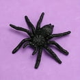 thumbnail image 5 of Plastic Spiders, 40PCS Black Realistic Plastic Fake Scary Spiders For Halloween Prank Props Halloween Plastic Spider Large And Small Fake Spider, 5 of 5