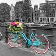 thumbnail image 2 of Frank, Assaf 20x20 Gold Ornate Wood Framed with Double Matting Museum Art Print Titled - Bicycle with bunch of roses on bridge-Amsterdam, 2 of 4