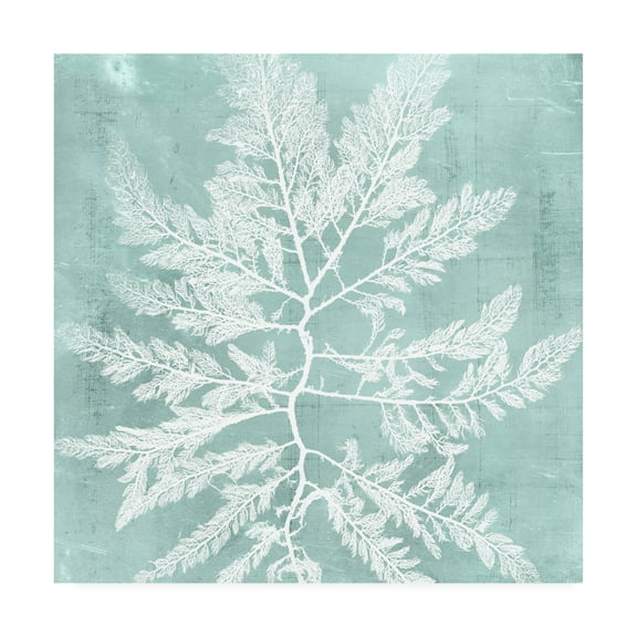 Trademark Fine Art 'Seaweed on Aqua I' Canvas Art by Vision Studio