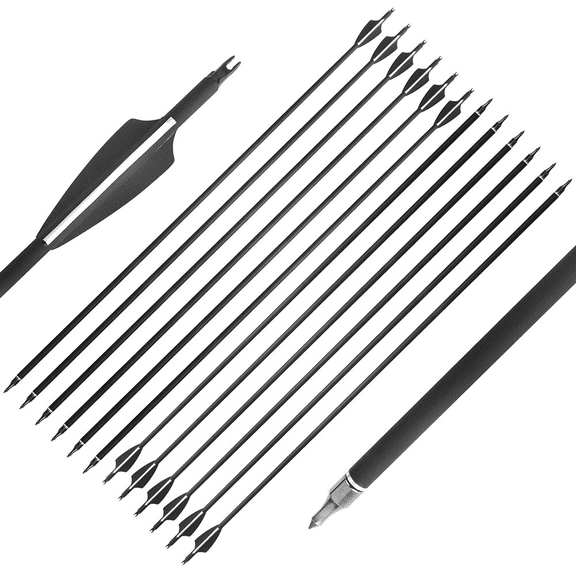 30'' Carbon Arrow Archery Spine 500 Arrow 3" Vane 100gr Tip Bow Hunting Shooting