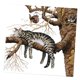 thumbnail image 5 of Kits de punto de cruz estampados y contados Patrones Bordados Puntos de aguja 14CT estampado, 5 of 7