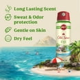 thumbnail image 5 of Old Spice Men's Antipespirant & Deodorant Invisible Dry Spray, Fiji with Palm Tree, 4.3oz, 5 of 12