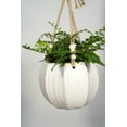 Better Homes Gardens Mylia Round Ceramic Hanging Planter