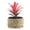 B, variant on Miyuadkai Artificial Pineapple Head Potted Plants Rattan Pots, Style Desktop Green Plant Decoration, Artificial Pineapple Head Potted Plant A, Realistic Look