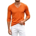 thumbnail image 5 of fatyb Men's Mesh Long Sleeve T Shirts V Neck Breathable Workout Tee Mens Athletic Running Training Tops, 5 of 7