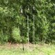 thumbnail image 4 of Soporte de fijación de luz portátil para acampada, soporte de suelo/escritorio para acampar, pescar, Picnic, barbacoa, poste de lámpara, altura ajustable, 4 of 5