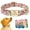 Beige, variant on Didog Fabric Fancy Floral Dog Cat Collar Metal Gold Buckle D Ring Collar for Small Large Dogs
