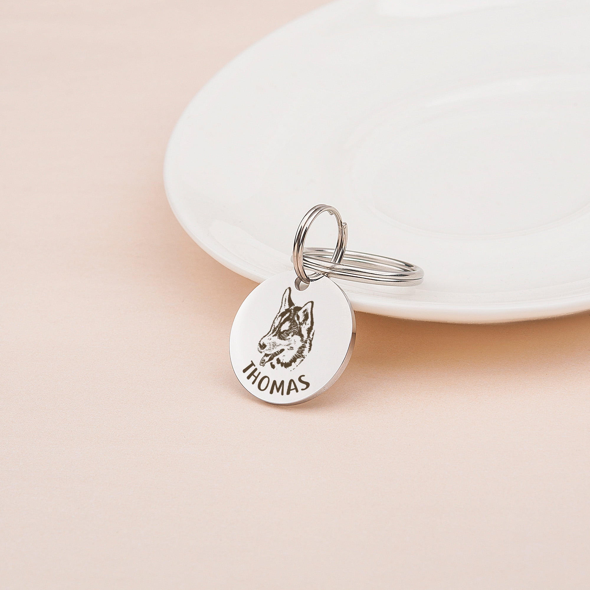 Anavia Metal Stainless Steel Round Name - Dog Picture Birthday Holiday Christmas Engraved Dog Cat ID Tag, Silver