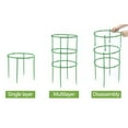 thumbnail image 3 of XYAIYT Plant Support Cages for Climbing Plants,Flowering Tomato Cage with Standing Stakes and Stabilizing Support Ring Easy Installation Non Slip Versatile Use 2 Sets, 3 of 7