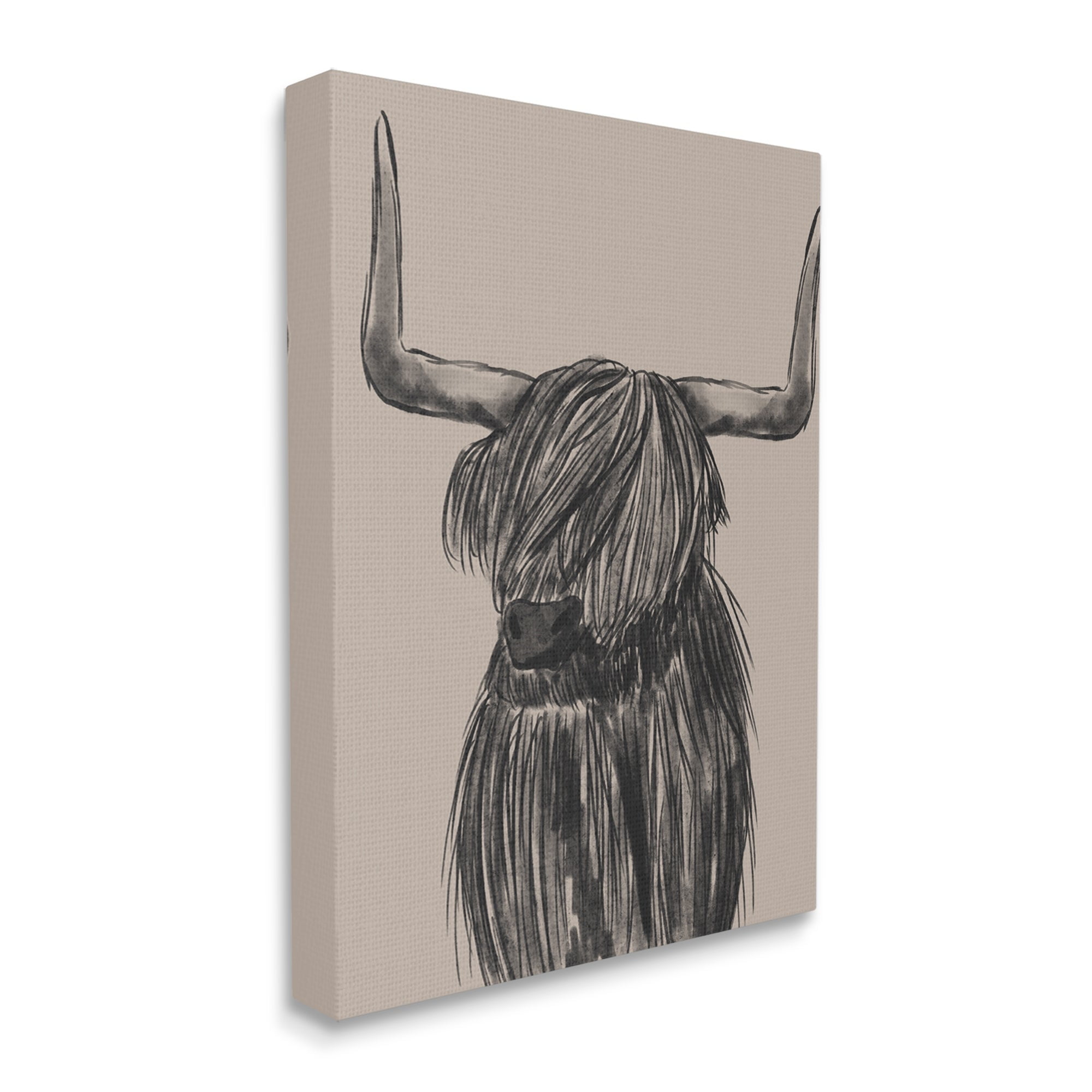 Stupell Industries Longhorn Highland Cattle Charcoal Line Drawing Portrait Drawing Print Gallery Wrapped Canvas Print Wall Art, Design by Lisa Whitebutton