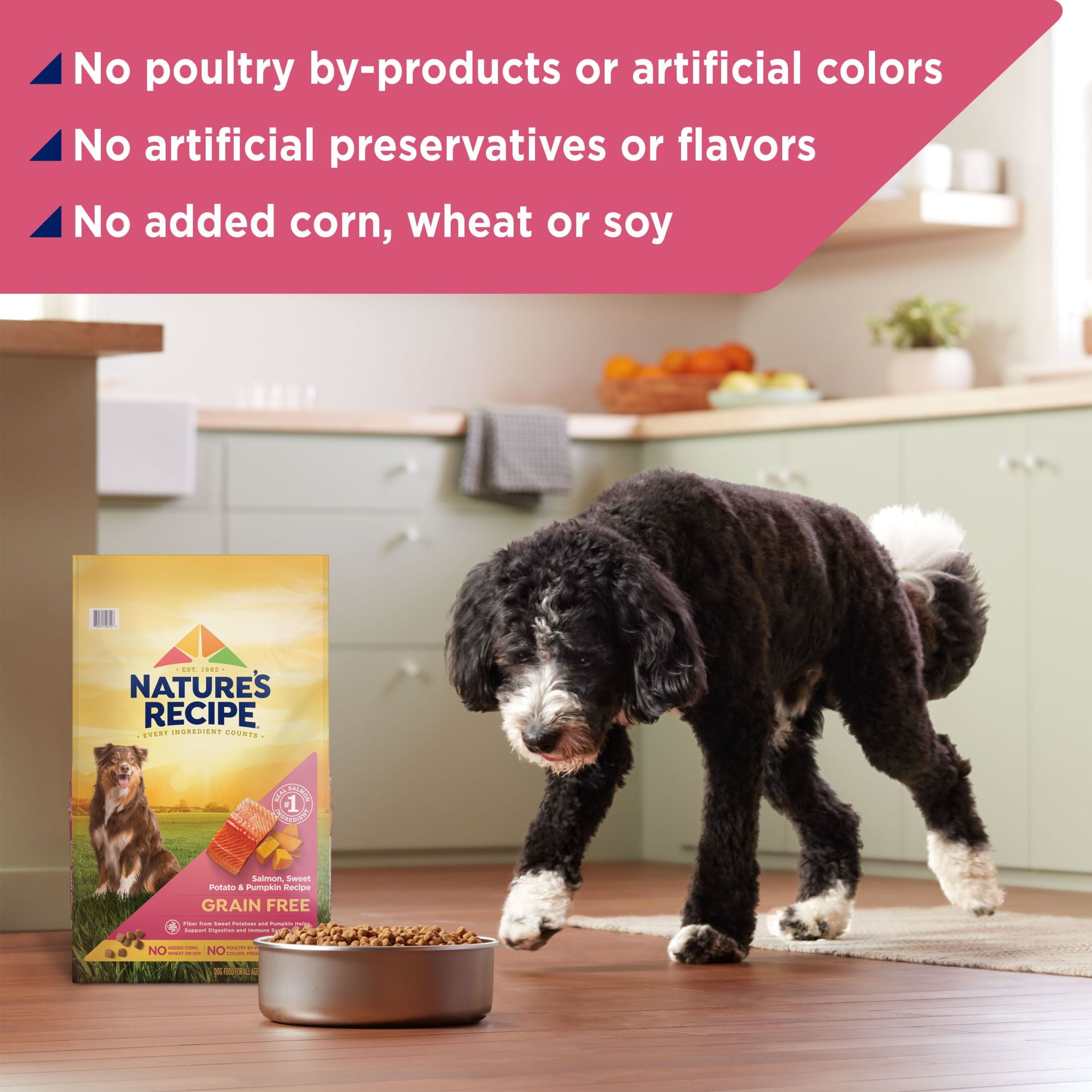 Nature s Recipe Walmart