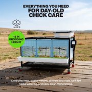 Hatching Time Chick Brooder - 1 Layer H: 15 (Power-Washable, Durable, ABS Plastic) | Cimuka