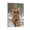 Frame-style, variant on Mikayla Demaite Hot Girl Sexy Poster (44) Wall Art Poster Scroll Canvas Painting Picture Living Room Decor Home 12x18inch(30x45cm)