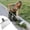 15, variant on Yardvibe Garden Flat Shovel, Flat Floor Scraper with 4ft Long Handle, Heavy Duty Stainless Steel Garden Cleaning Shovel, Outdoor Scraper for Removing Snow, Ice, Weeds, Moss, Scraping