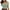 Army Green, variant on Ecqkame Bikini Tops for Women Cropped Tankini Tops Solid Push Up Bathing Suit Tops Padded Knot Twist Cut Out Tank Swimwear Top Blue XL on Clearance