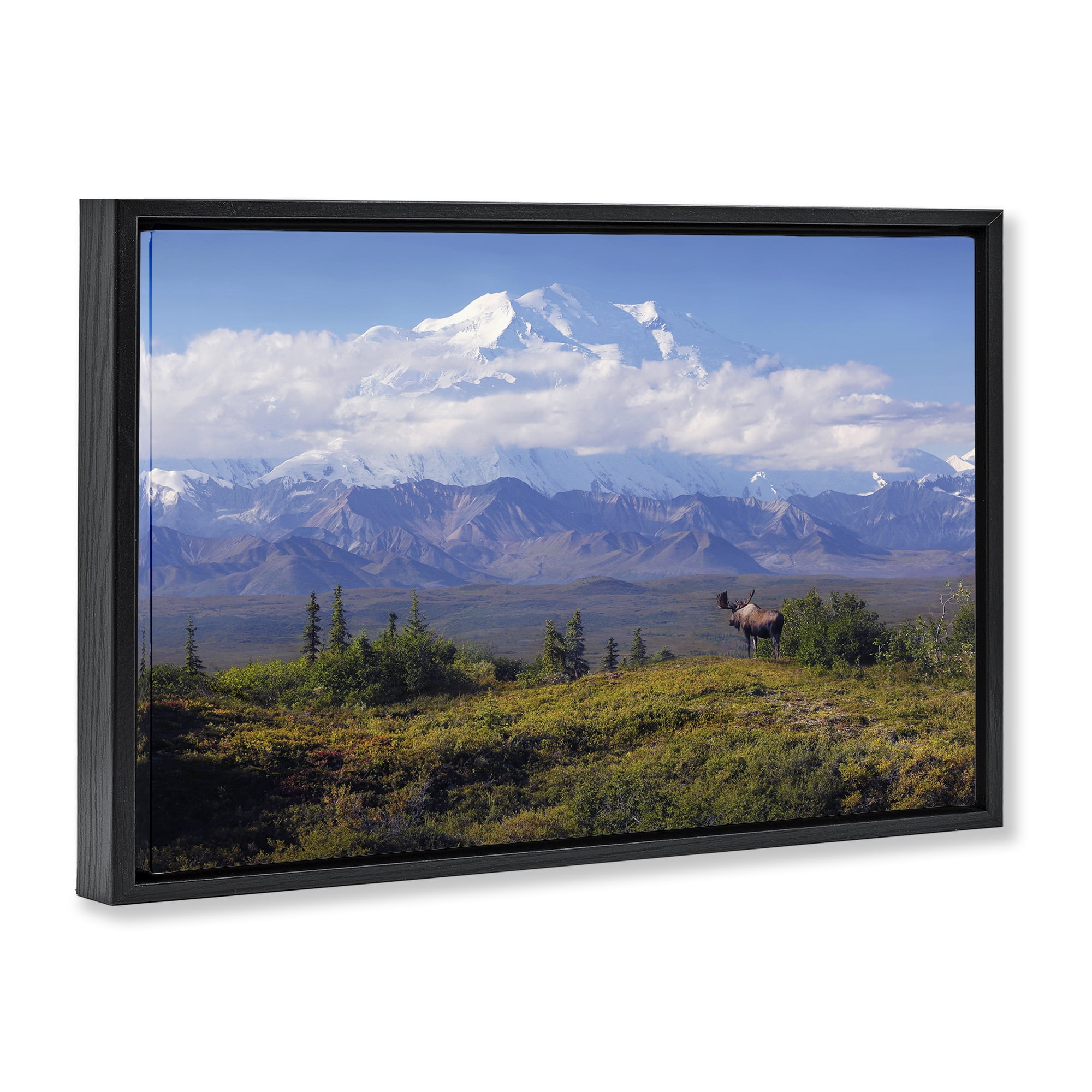Stupell Industries Mountain Majesty Moose Landscape & Nature Photography Black Floater Framed Canvas Art Print Wall Art, 25 x 17