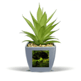 thumbnail image 1 of Green Grass Forestry Science Nature Scenery Fake Pineapple Flower Pot Vase Mini Decor, 1 of 3