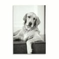 thumbnail image 2 of Gango Home Decor Goldie II Black and White by Karyn Millet (Printed on Paper); One 24x36in Fine Art Paper Giclee Print, 2 of 4