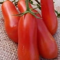 thumbnail image 1 of Italian Roma Tomato Seeds - 1 OZ ~7,500 Seeds - Non-GMO, Open Pollinated, Heirloom, Vegetable Gardening Seeds, 1 of 2